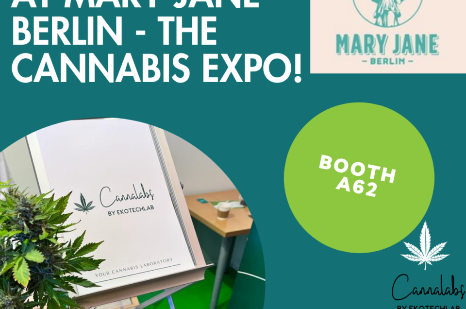Meet us at Mary Jane Berlin – The Cannabis Expo!