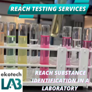 Your REACH Laboratory